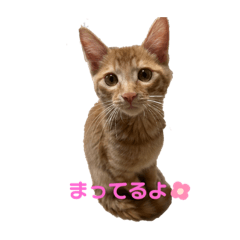 aoi_20230709203115