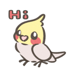 Cockatiel Bird-Yuzi Baby