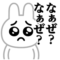 Pien MAX-White Rabbit/What? What is it?