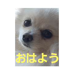 Tkunn_20230709234938