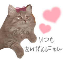 yuitan_20230710151513
