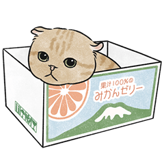 奶油小生裝可愛 (橘貓) 無字