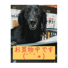 yuka_20230710152006