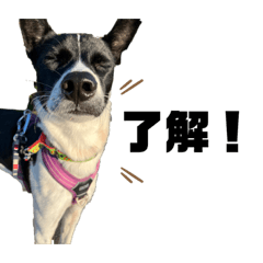 arisa_20230710203942