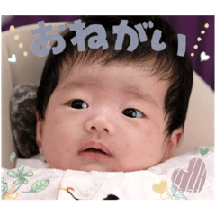ほのたんです