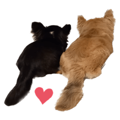 natsumi_20230710183920