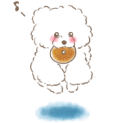 toy poodle chiffon stickers