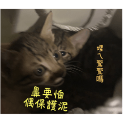快樂小咪咪