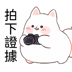 white_doggy_4(Daily)