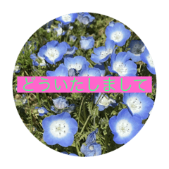 Aozora_20230712094506