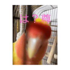 tori_20230711191947