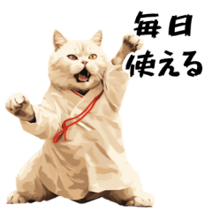 kung fu cat (every day)