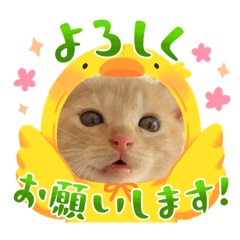 TOMOMI_20230711181258
