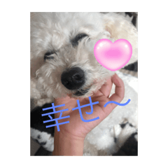 Aoi_20230711185720