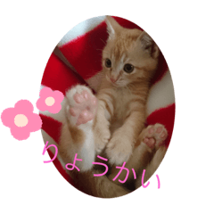 no_20230712000317