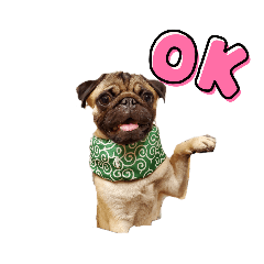 pugpug-