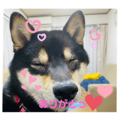 nao_20230711183951