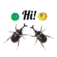 Insect Mushiko_beetles English stamps