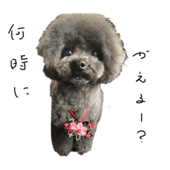 Sakura_20230712144955