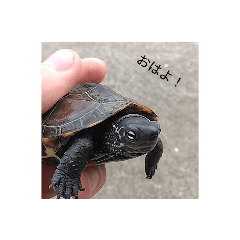 yuto_20230712161028