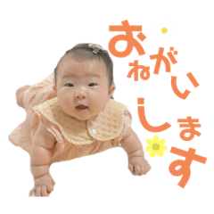 maya 3