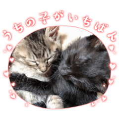 nozomi_20230713010224