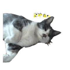 Mayuyu_20230712184506