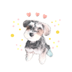 monaca_schnauzer