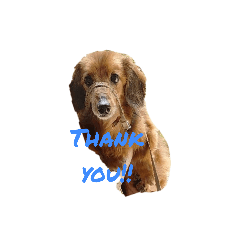 Hiyori_20230713130039