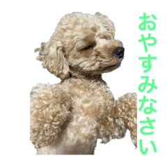 Natsumi_20230713135950