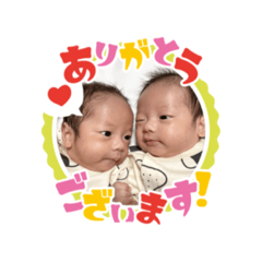 twin-s