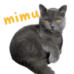 mimu meow