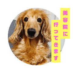 犬】ダックスフンドのモモちゃん - LINE スタンプ | LINE STORE 犬】ダックスフンドのモモちゃん - LINE スタンプ | LINE STORE
