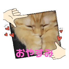NAO_20230713175438