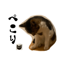 y_20230713184256