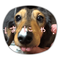 marumarumaruboss