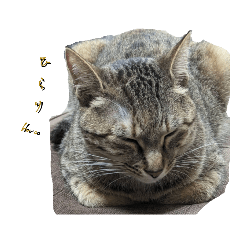 hirarinn_20230713224737