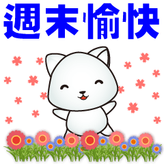 Super Practical Phrases-Cute White Cat