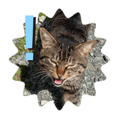 yukari_20230714144849