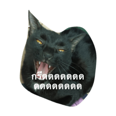 bb_20230714154808