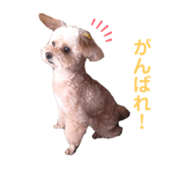 yuka_20230715082818