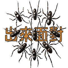 Insects Stickers - Spider Stickers
