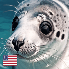 EN summer baby seals