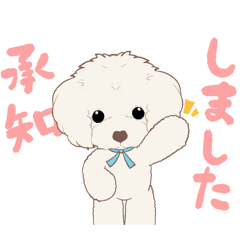 Hello, we're "kawaii" Toy Poodle!2