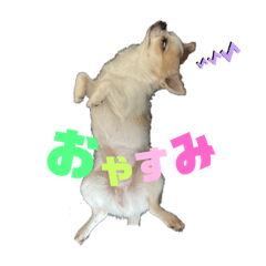 kaede_20230714181628