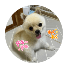 nao_20230715024418