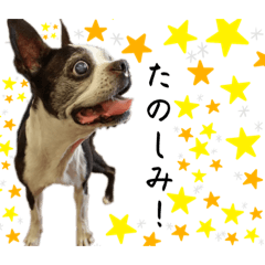 Sunny_20230715075959