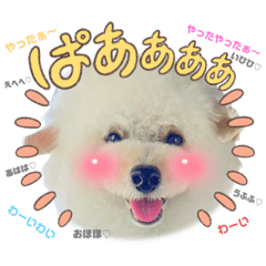 Aoi_20230714201806
