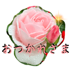 薔薇をお届け2