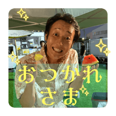 twinkle twinkle_20230714223943